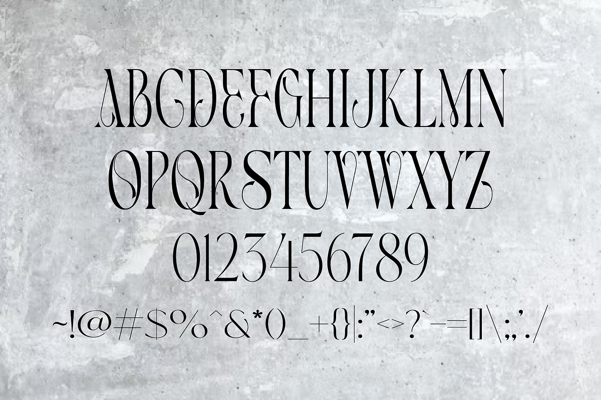 ALEGRO, a Serif Font by jaffana.co (Photo 4 of 4)