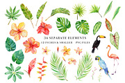 Sale- Tropical Botanicals Set, an Illustration by Art by Lin (Thumbnail 2 of 7)