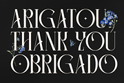 Camaroon Megalord Serif Display Font, a Serif Font by Storytype Studio (Thumbnail 5 of 15)