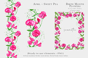 Sweet Pea Birth Month Flower Clipart, an Illustration by WatercolorWind (Thumbnail 4 of 6)