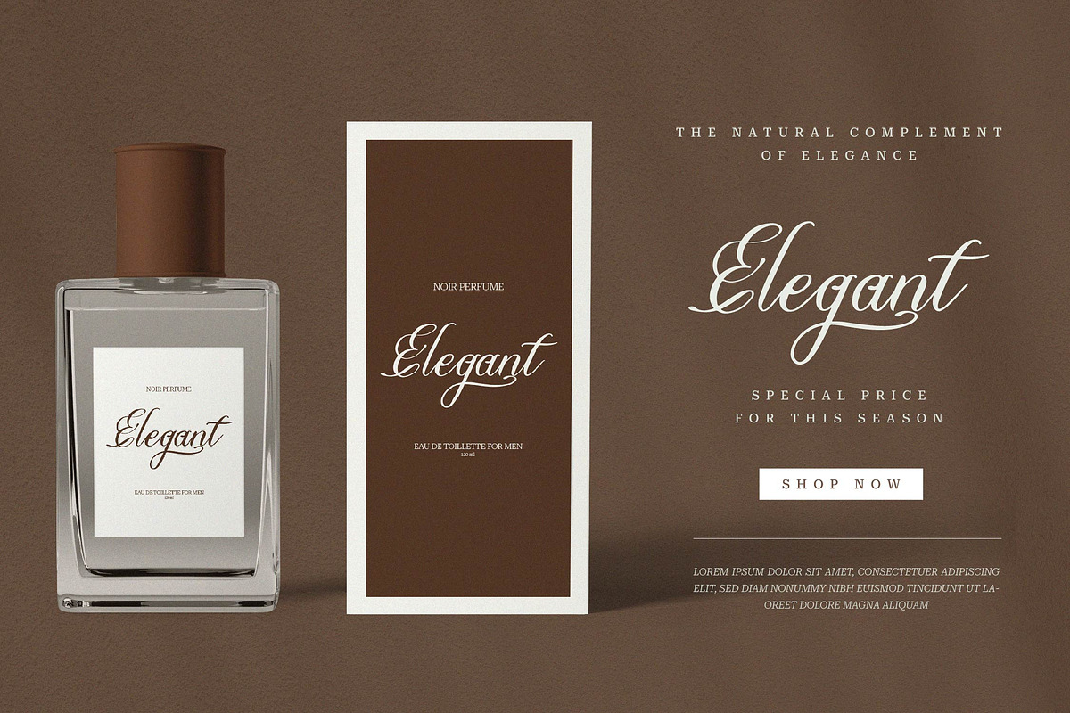 Olydemi | Beauty Script, a Script Font by Denustudios (Photo 7 of 13)