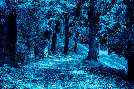 Beautiful autumn landscape with road containing autumn, road, and nature, a Nature Photo by Rodica Ciorba