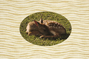 Print Language Vol.2 Textile & Dye, a Background Graphic by Lidberia (Thumbnail 6 of 9)