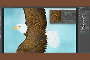 Flying Bald Eagle Illustration, an Animal Illustration by AMMi (Thumbnail 6 of 6)