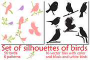 Bird silhouettes, Vector Collection, an Object Graphic by Orangepencil (Thumbnail 1 of 6)