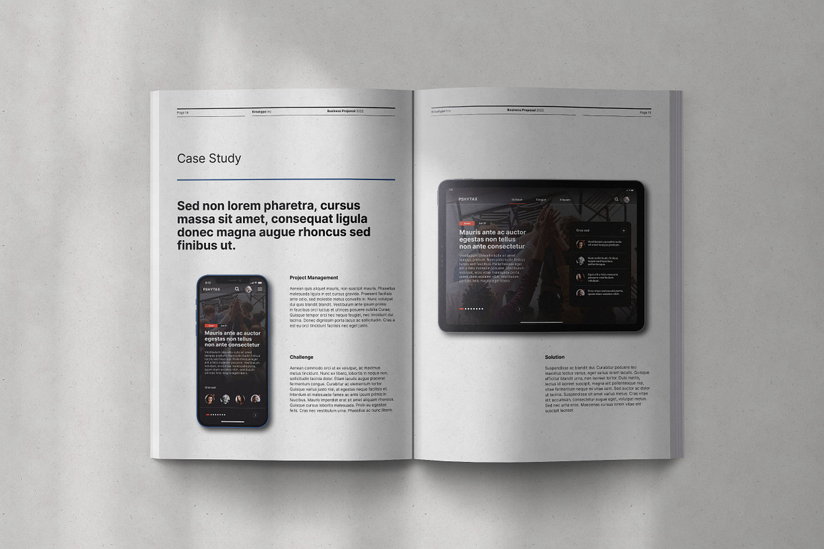 Kreatype Proposal, a Brochure Template by Kreatype Studio (Photo 9 of 18)
