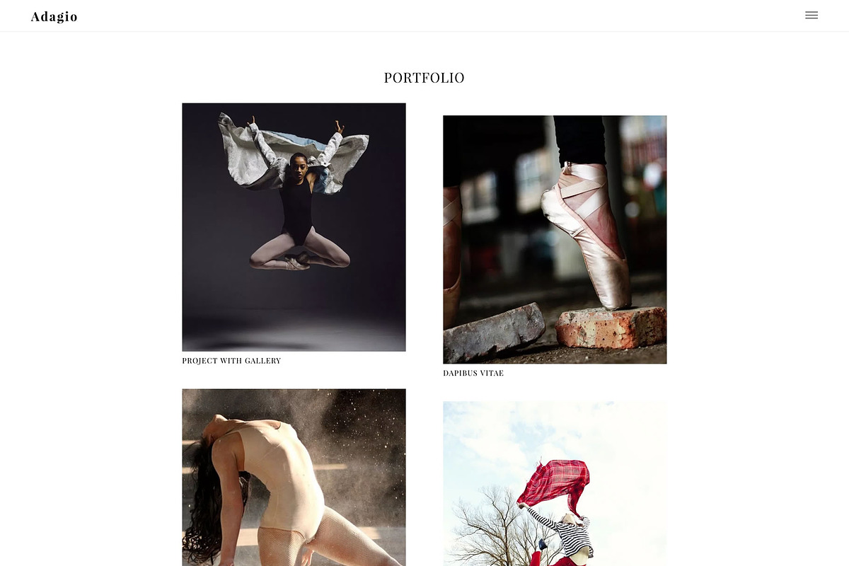 Adagio - Clean Portfolio Theme, a WordPress Template by Viva Themes (Photo 2 of 3)