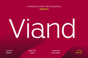 Viand — A Versatile Sans with Flavor