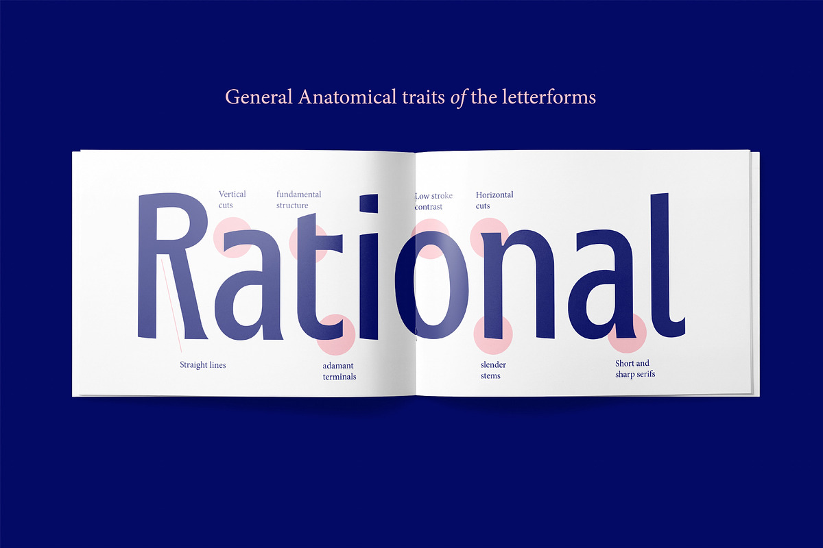 Montagna LTD, a Sans Serif Font by Hederae Type Foundry (Photo 7 of 20)