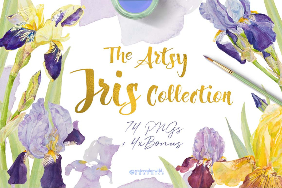 TheArtsyIrisCollection-Clipart, an Illustration by watercolorwild.graphics (Photo 1 of 13)