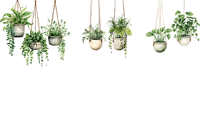 Plants Watercolor Clipart