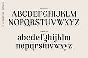 Nova Luxe, a Serif Font by Abigail Dewhirst (Thumbnail 2 of 10)