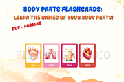 Body Parts Flashcards for Kids: A Fu, a Card Template by John_Walker (Thumbnail 4 of 4)