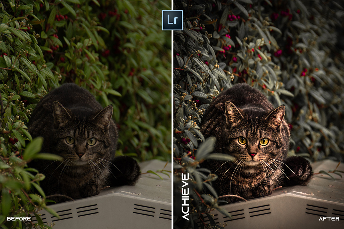 BEST MOBILE + PC Lightroom Presets, a Plug-in Add-On by @guillepixl (Photo 6 of 16)