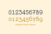 Pleuf Pro - The Complete Family, a Serif Font by Polytype (Thumbnail 10 of 10)
