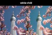 10 Fujifilm X100 Lightroom Presets, a Preset Add-On by Gridfiti (Thumbnail 4 of 11)