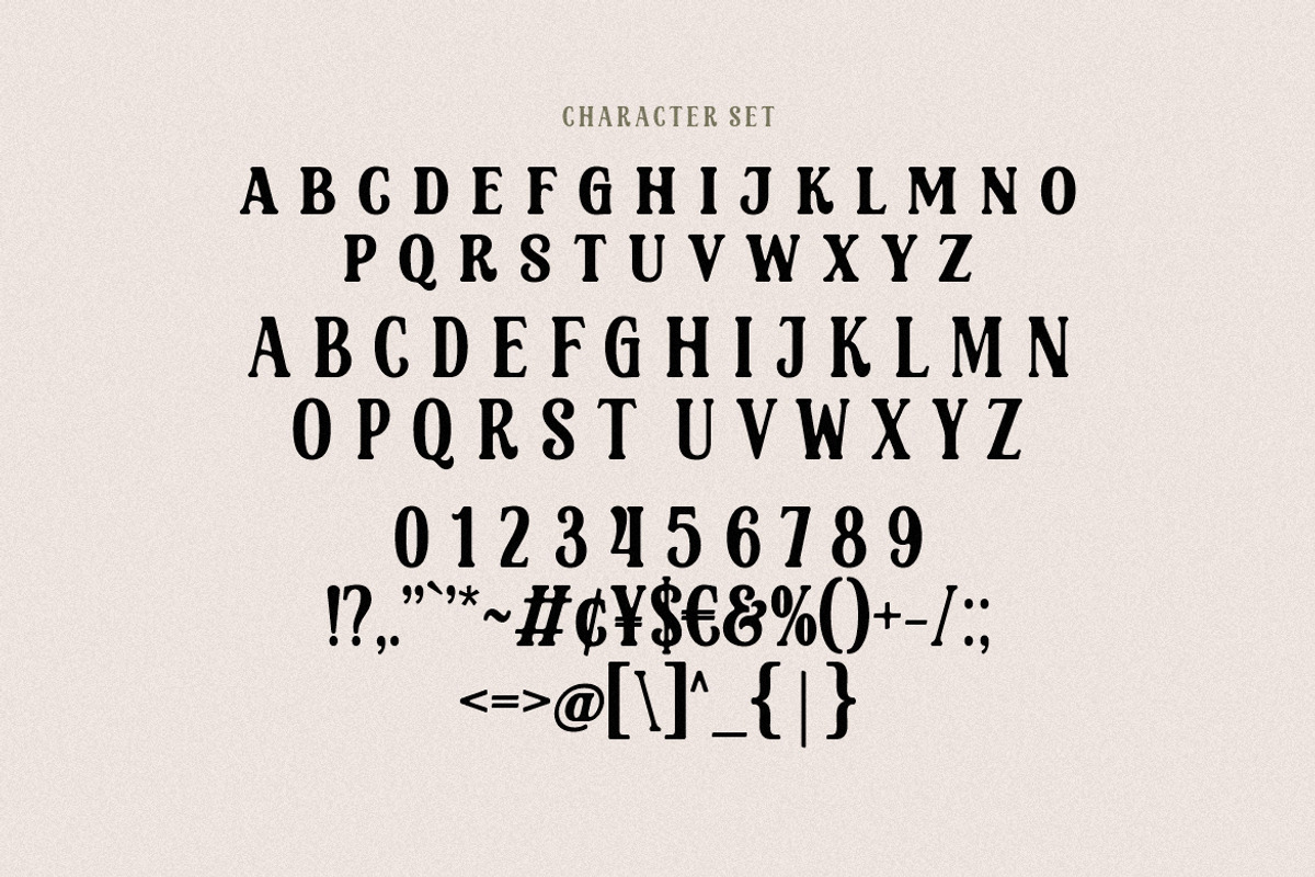 Shelten Font Vintage, a Serif Font by HansCo Studio (Photo 8 of 10)