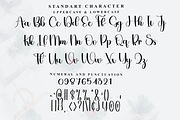 Lighting, a Handwritten Font by FreshTypeINK (Thumbnail 8 of 8)