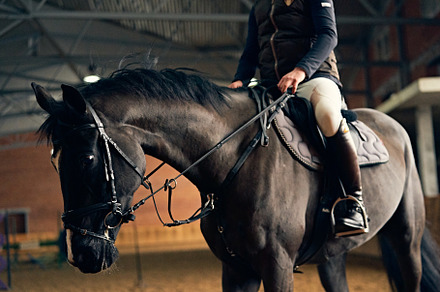Horse reder on a horse in a riding arena containing contest, horse, and rider