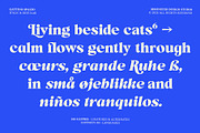 Gattino Spazio - Bold Serif Typeface, a Serif Font by Mbonster Design Studio (Thumbnail 2 of 20)