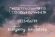Dandely - Retro Sans Serif, a Sans Serif Font by Typefactoryco (Thumbnail 3 of 9)