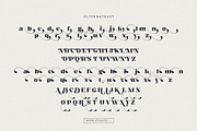 Molra Beauty | Elegant Serif Font, a Serif Font by HansCo Studio (Thumbnail 11 of 12)