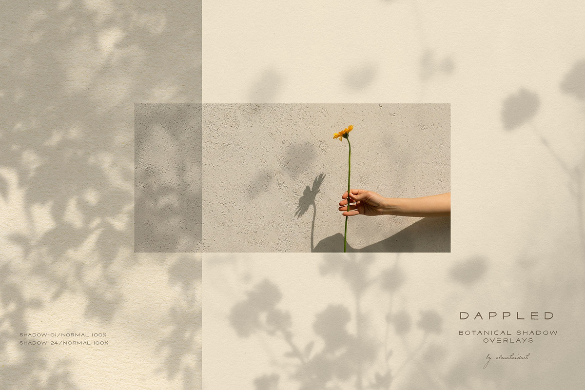 Dappled - Botanical Shadow Overlays, a Texture Graphic by alonahaidash (Photo 16 of 16)