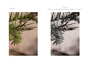 Modern + Moody Lightroom Presets, an Action Add-On by Foto Rx Co. (Thumbnail 8 of 17)