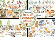 70% off. Bundle. Woodland animals., an Animal Illustration by TaPilipa (Thumbnail 1 of 38)