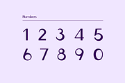 Ludeco Modern Display Font, a Sans Serif Font by Wild Ones (Thumbnail 6 of 11)