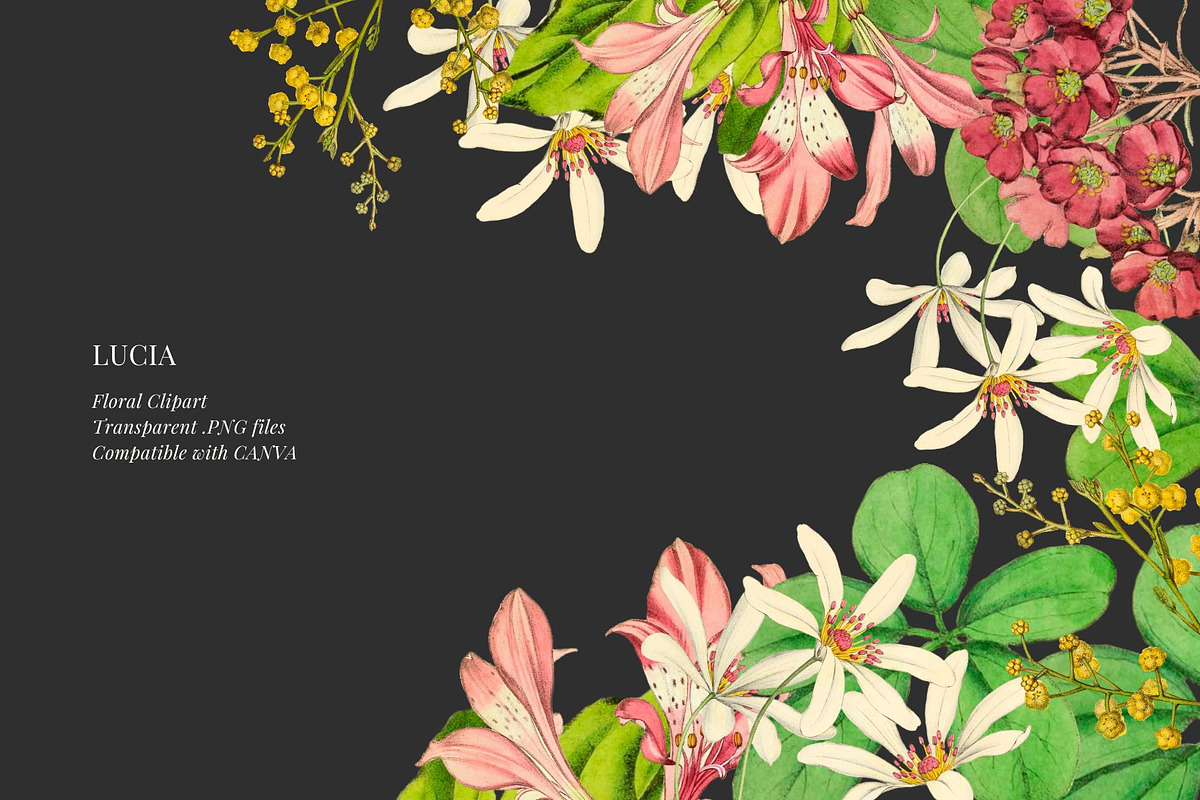Vintage flowers and leaves, a Decorative Illustration by AS Studio (Photo 2 of 4)