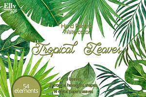 Tropical Leaves