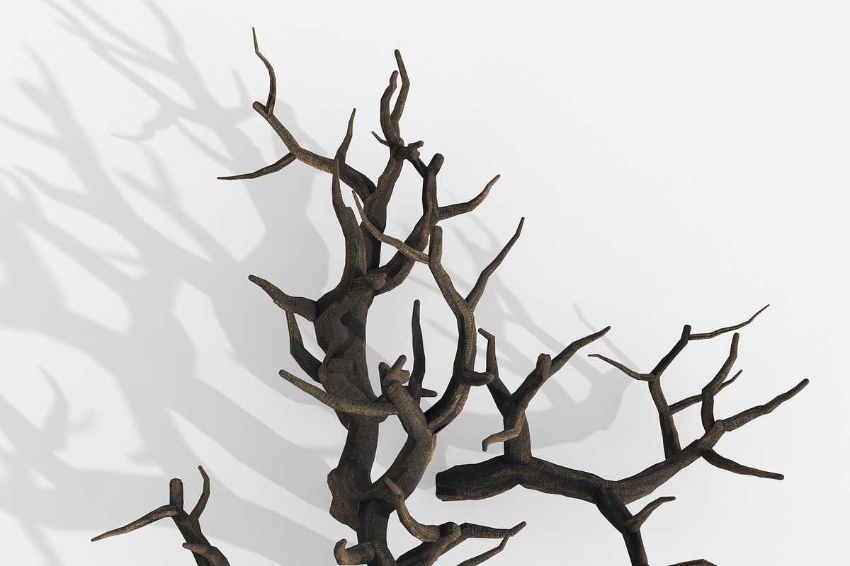 Aquarium Snag Banches V1, an Environmental 3D Model by AndrewWhite (Photo 4 of 8)