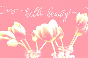 Birdy Roses Script Font Swashes