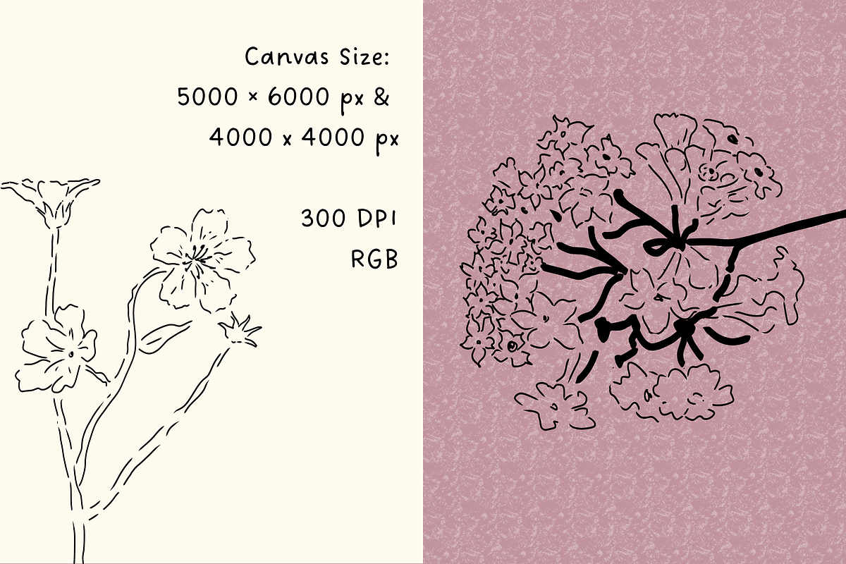 Wildflower Ink Atelier, a Decorative Illustration by The Journey Atelier (Photo 5 of 19)