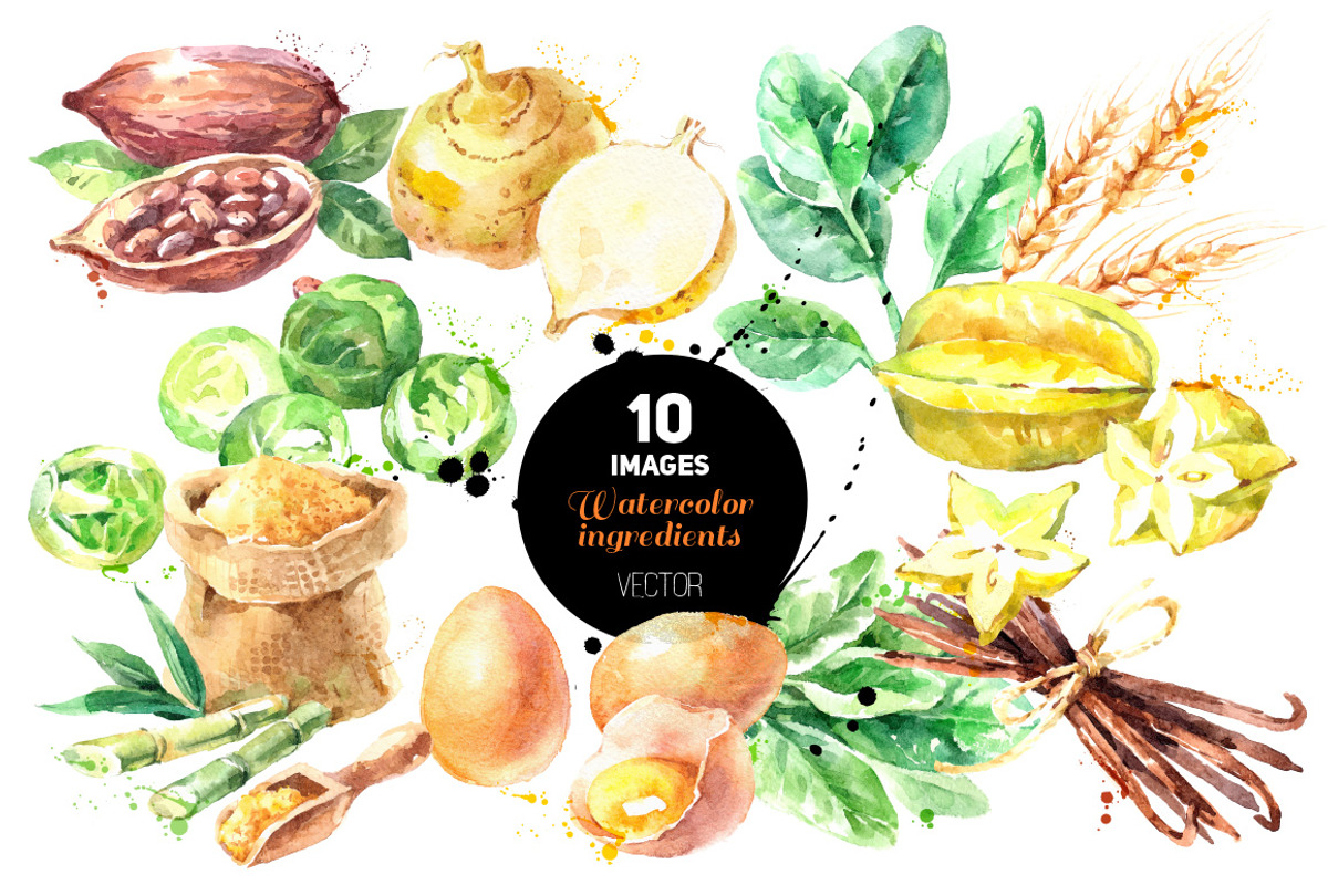 Watercolor Bundle Vector Set, a Food Illustration by Elena Pimonova (Photo 10 of 13)