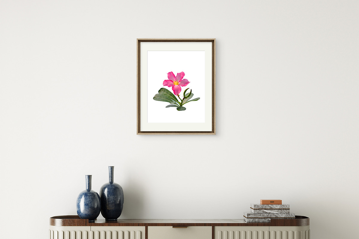 Pink Desert Rose Digital Print, a Nature Photo by VietArtworks (Photo 2 of 6)