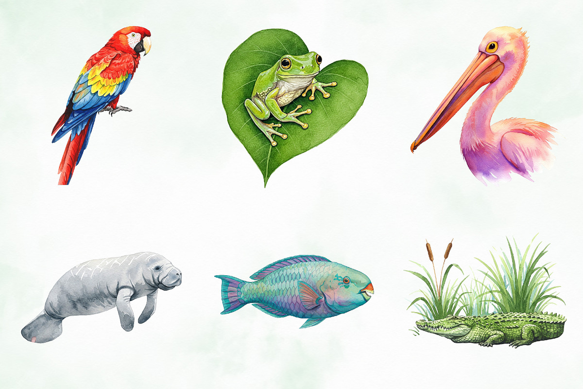 Watercolor Tropical Animals Clipart, an Illustration by Creative Art (Photo 5 of 9)