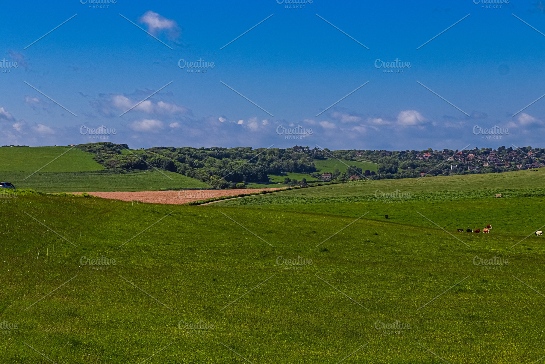 Green rolling hills with grazing cows, distant village, clear blue sky, English, a Photo by Studio ANNA