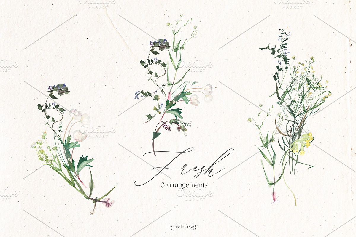 Fresh Watercolor Botanical Clip Art, a Decorative Illustration by whiteheartdesign (Photo 3 of 5)
