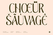 CS Belova Drawn, a Serif Font by Craft Supply Co. (Thumbnail 5 of 8)