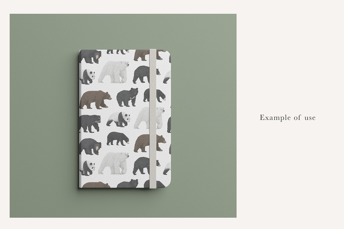 Bear Species Set - Hand-drawn PNGs, an Animal Illustration by LaurenFittonIllustration (Photo 8 of 10)
