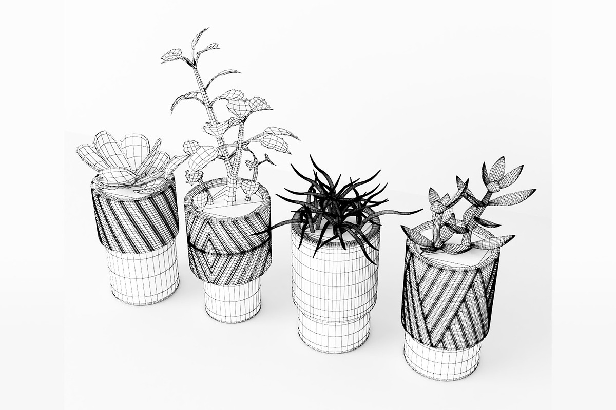 Decorative Plants, a Furniture 3D Model by 3DCargo (Photo 5 of 9)