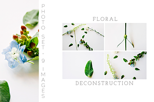 Floral Deconstruction Photo Set