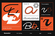 Dv Audley, a Script Font by Damelev (Thumbnail 4 of 15)
