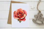 Valentine's Rose Clipart, an Illustration by Design Market (Thumbnail 5 of 5)