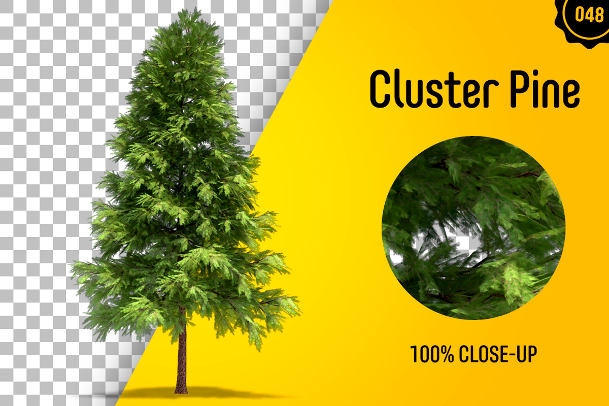 CUT OUT TREES - 60 PCS BUNDLE, a Packaging Mockup by 3DSTORE (Photo 49 of 63)