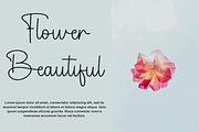 Sample Harmony, a Handwritten Font by FreshTypeINK (Thumbnail 6 of 8)