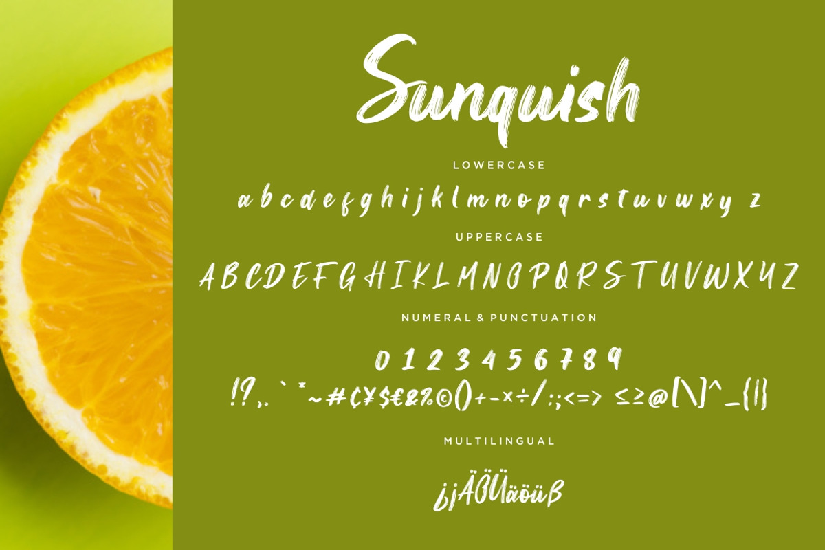 Sunquish Stylish Business Font preview 6