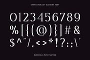 Oliveira - Modern Elegant Pixelated, a Serif Font by Typia Nesia (Thumbnail 3 of 14)